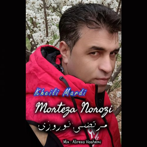 دانلود آهنگ جدید مرتضی نوروزی به نام خیلی مردی