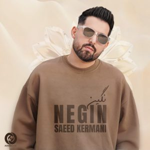 دانلود رایگان آهنگ نگین از سعید کرمانی به همراه متن آهنگ
