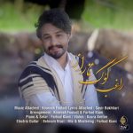 دانلود رایگان آهنگ کوگ تاراز از راغب به همراه متن آهنگ