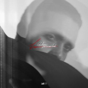 دانلود رایگان آهنگ قلبمو پس به من بده از حامیم به همراه متن آهنگ