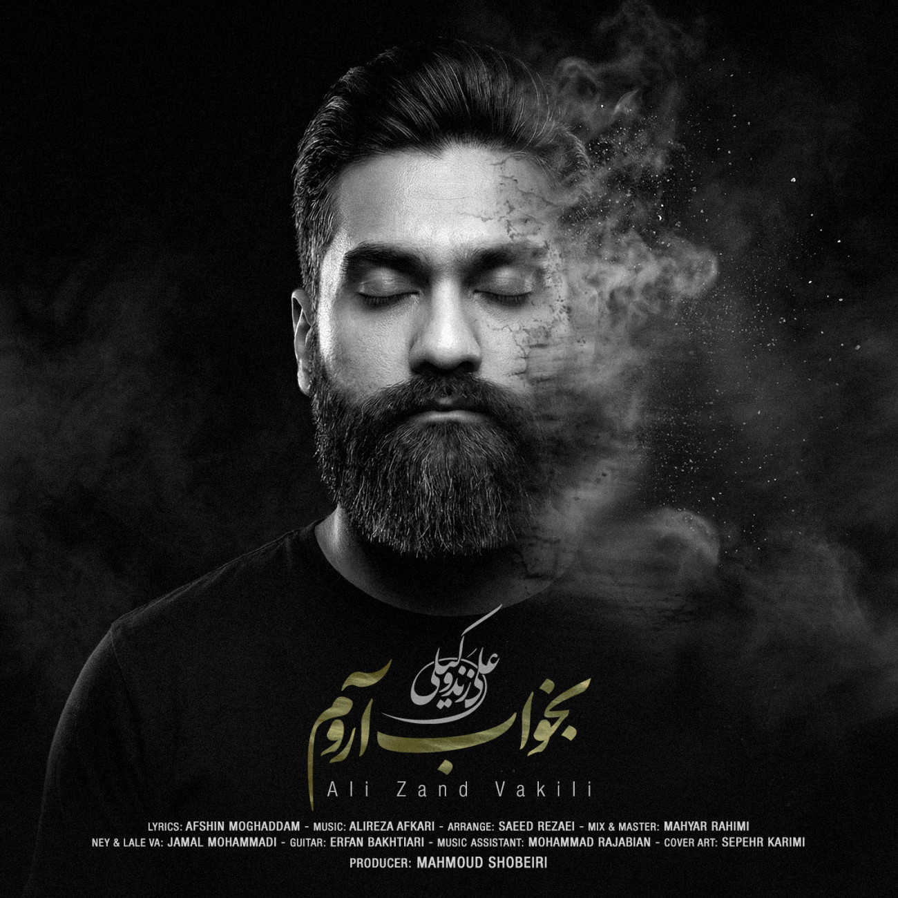 دانلود آهنگ جدید علی زندوکیلی به نام بخواب آروم